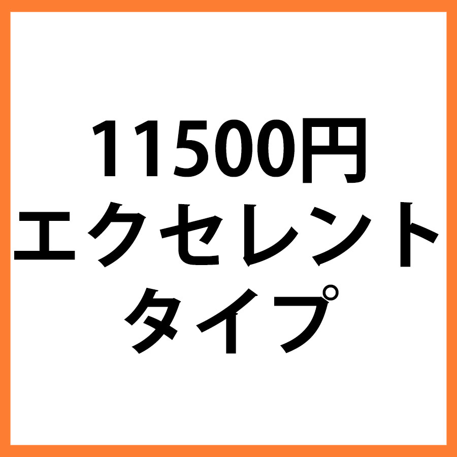 11500円商品　エクセレント