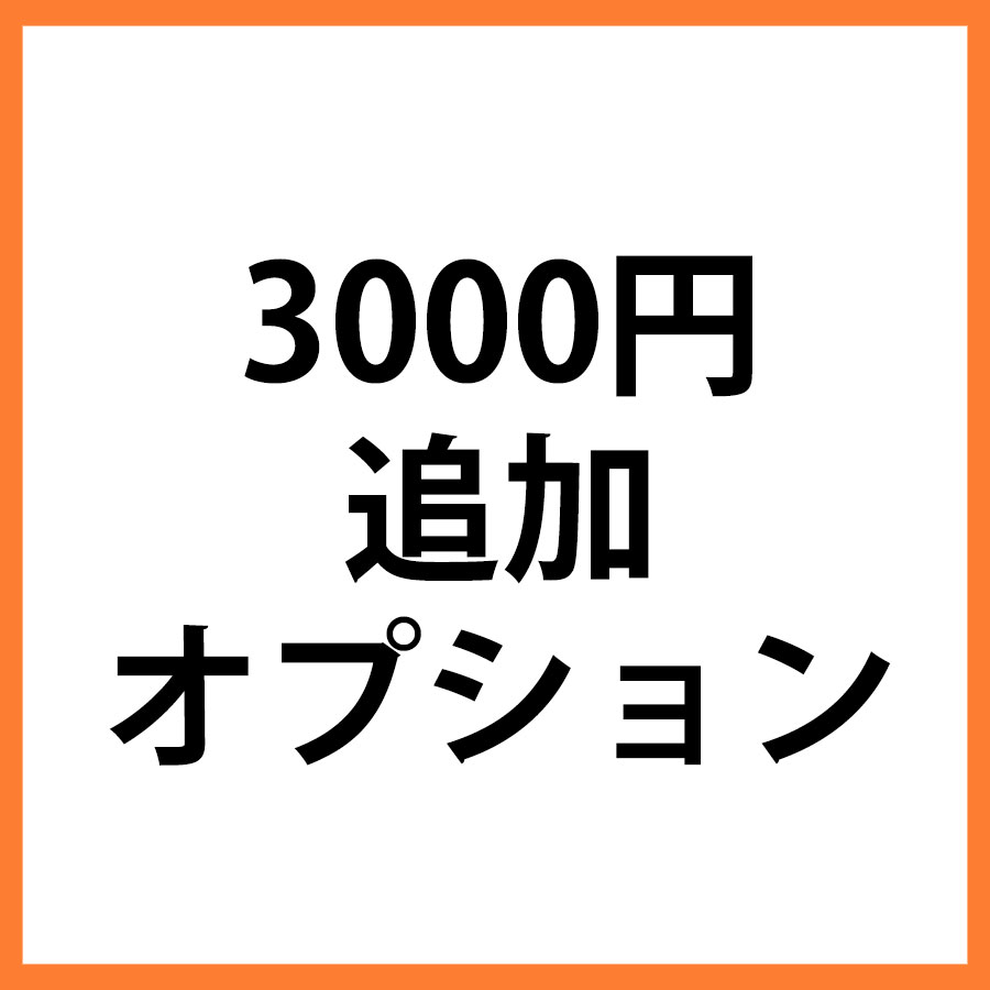 3000円追加オプション