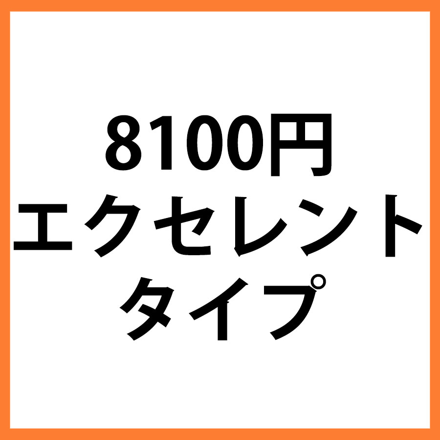 8100円商品　エクセレント