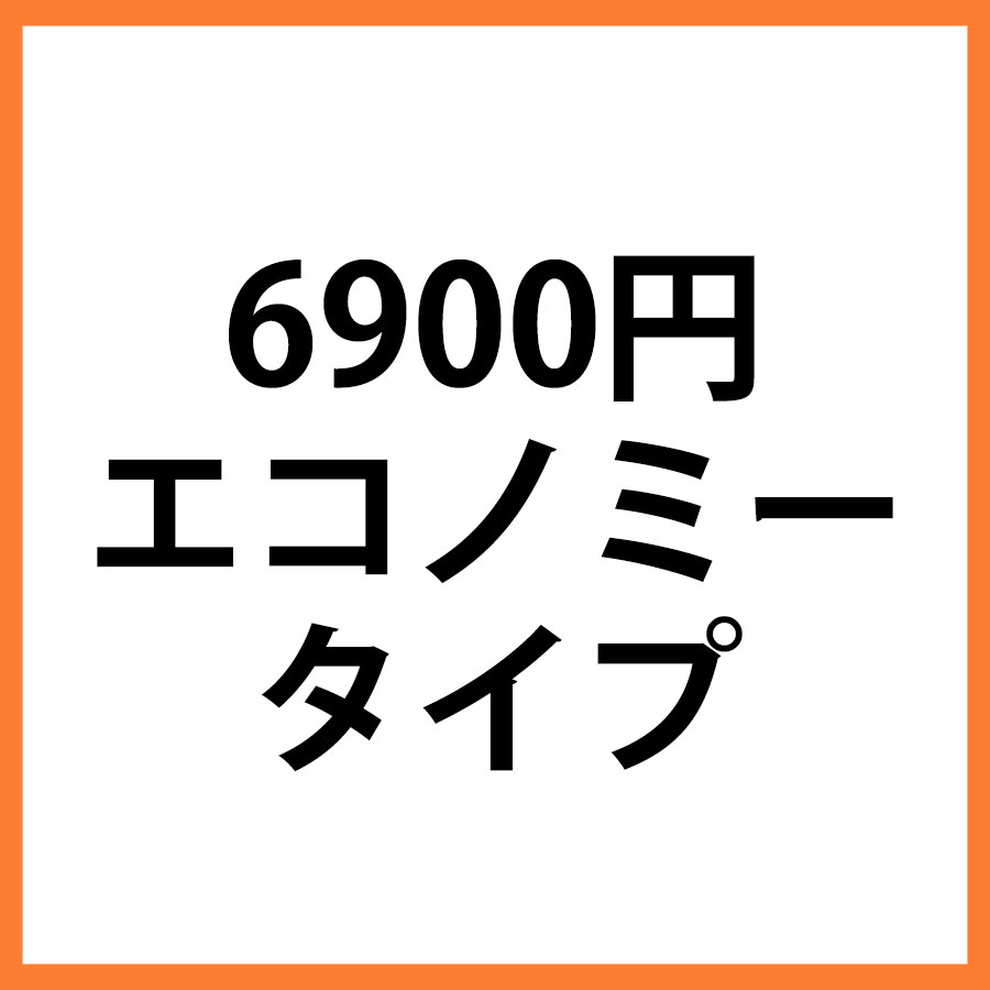 6900円商品　エコノミー