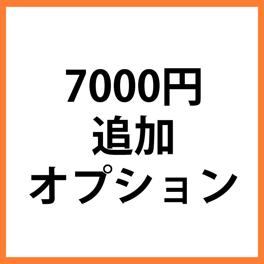 7000円追加オプション