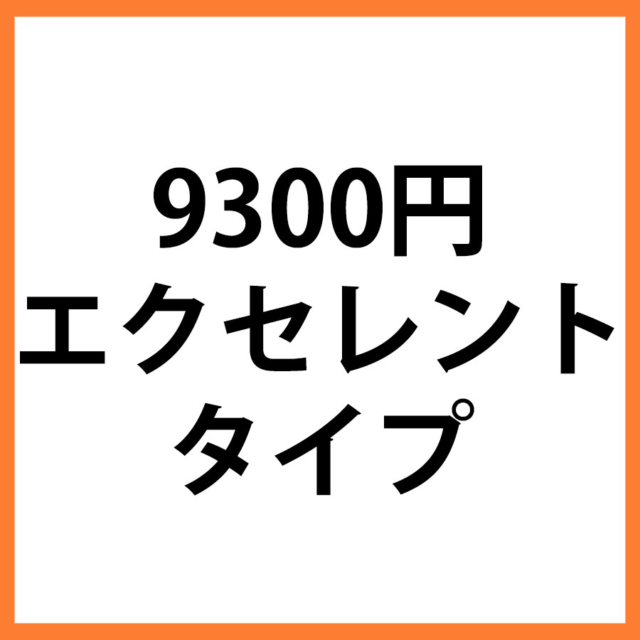 9300円商品　エクセレント