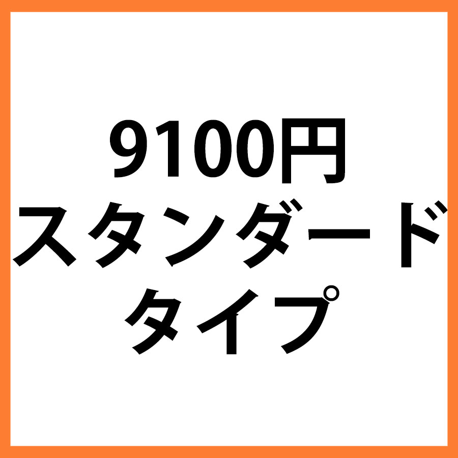 9100円商品　スタンダード