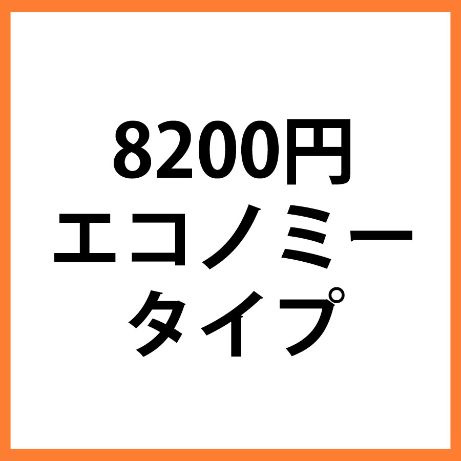 8200円商品　エコノミー