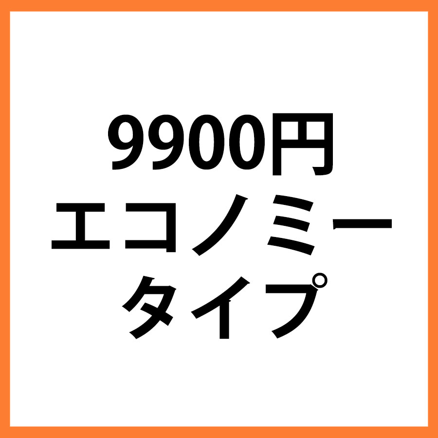 9900円商品　エコノミー
