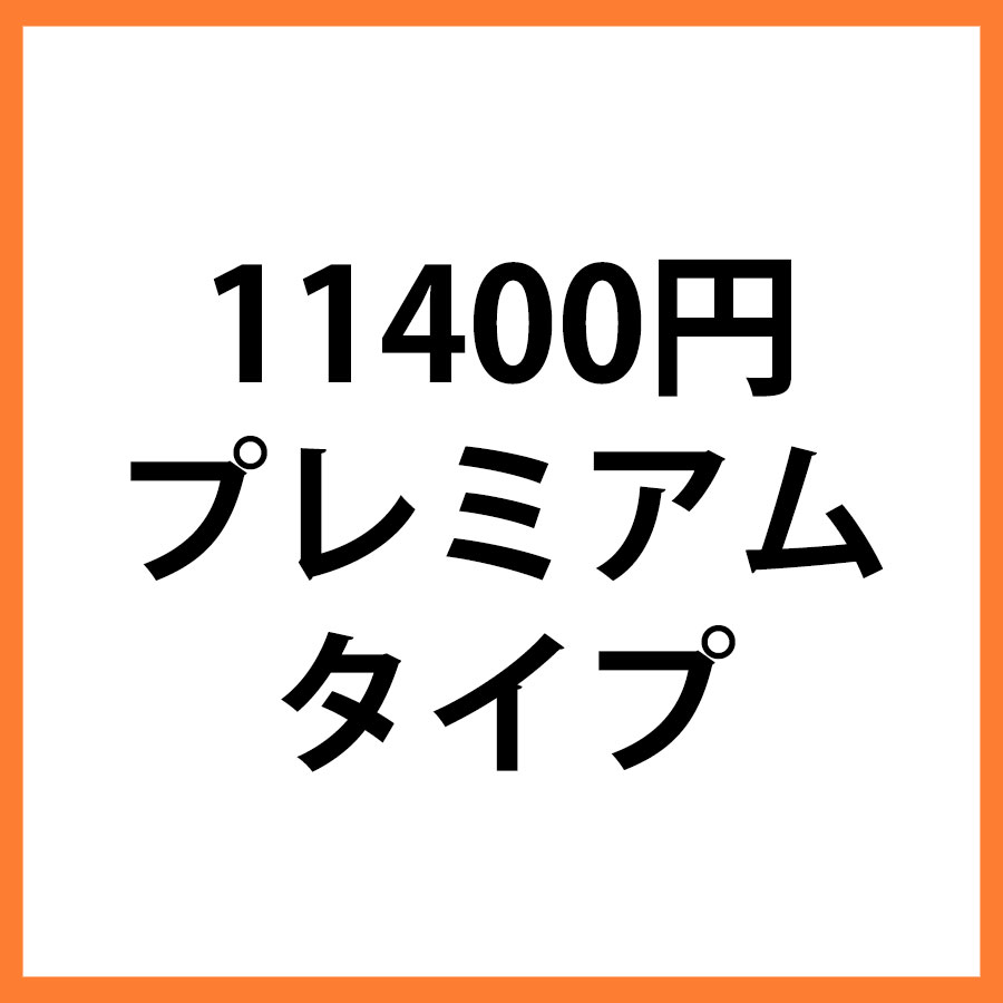 11400円商品　プレミアム