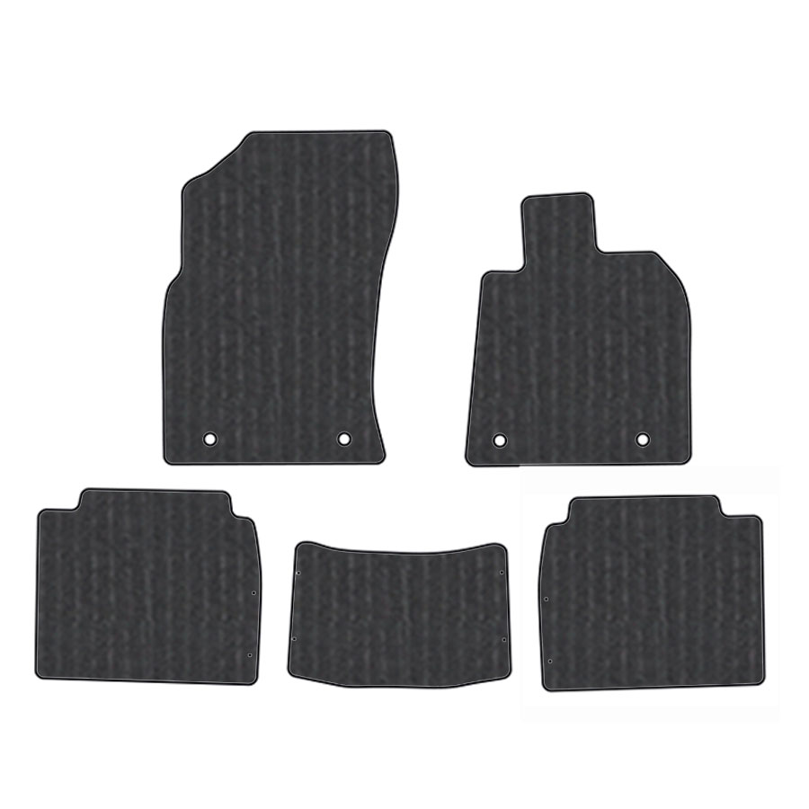 フロアマット　レクサス　ＬＥＸＵＳ　ＥＳ　ＡＸＺＨ10/11　H30/10～　カーマット　抗菌　抗ウイルス　消臭　エコノミータイプ