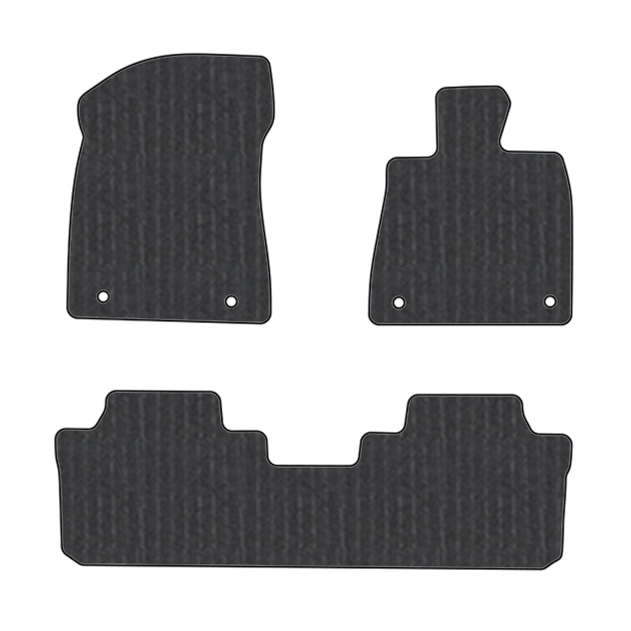 フロアマット　レクサス　ＬＥＸＵＳ　ＲＸ　20系　R1/8～R4/11~　5人乗り　カーマット　抗菌　抗ウイルス　消臭　エコノミータイプ