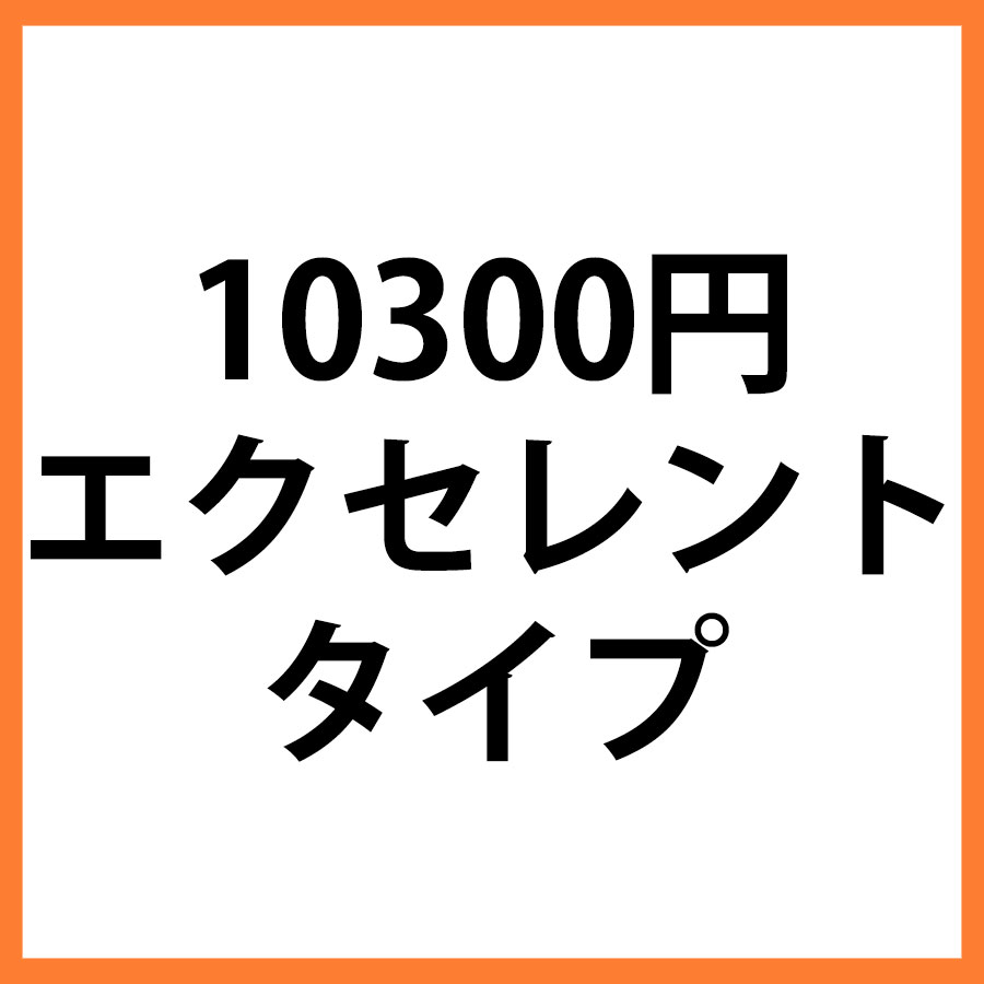 10300円商品　エクセレント