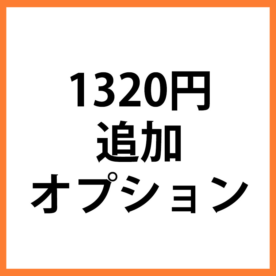 1320円追加オプション