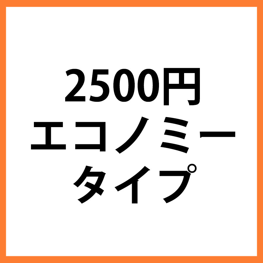 2500円商品　エコノミー