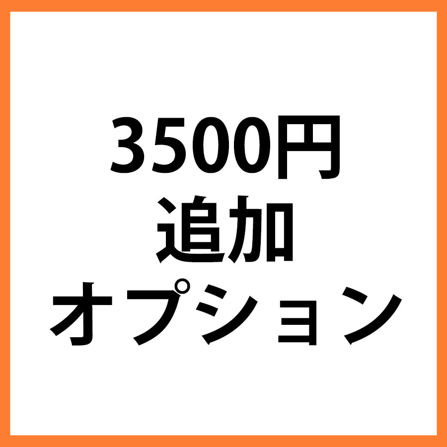 3500円追加オプション