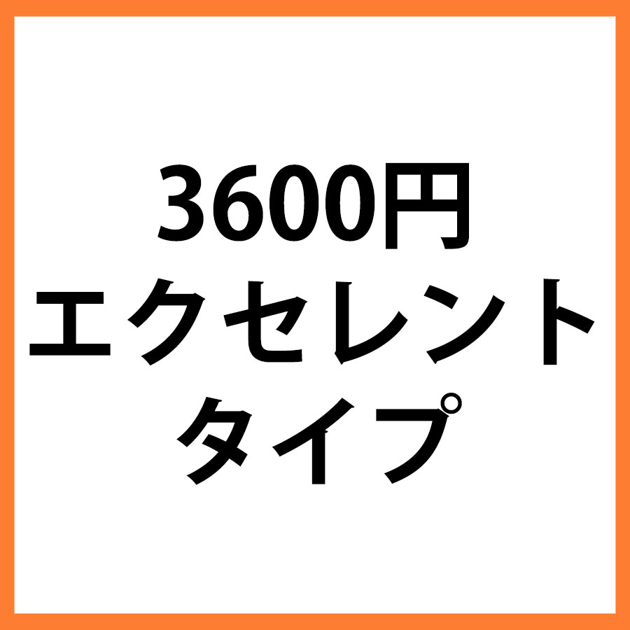 3600円商品　エクセレント