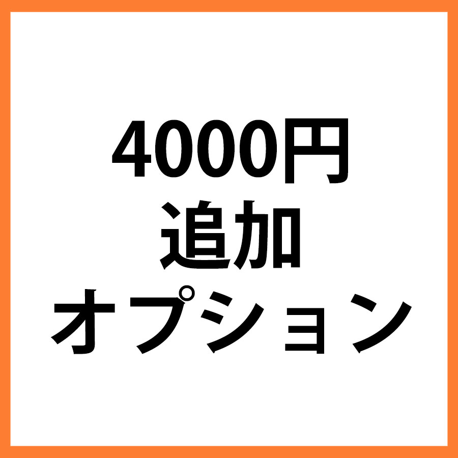 4000円追加オプション