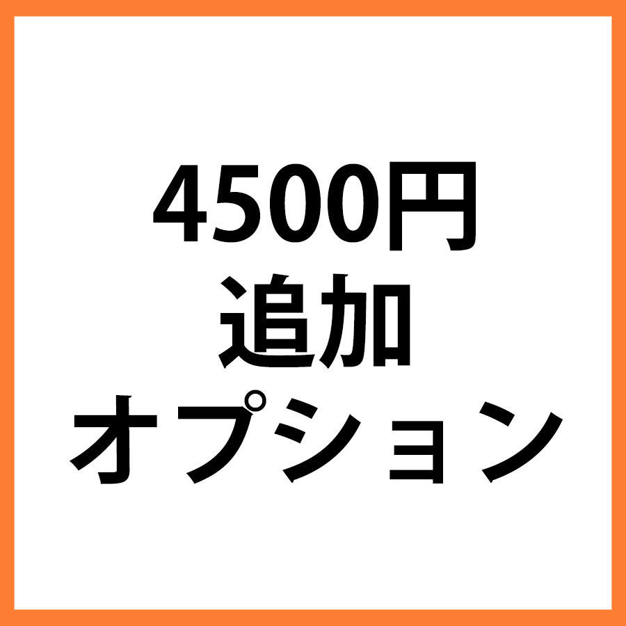 4500円追加オプション