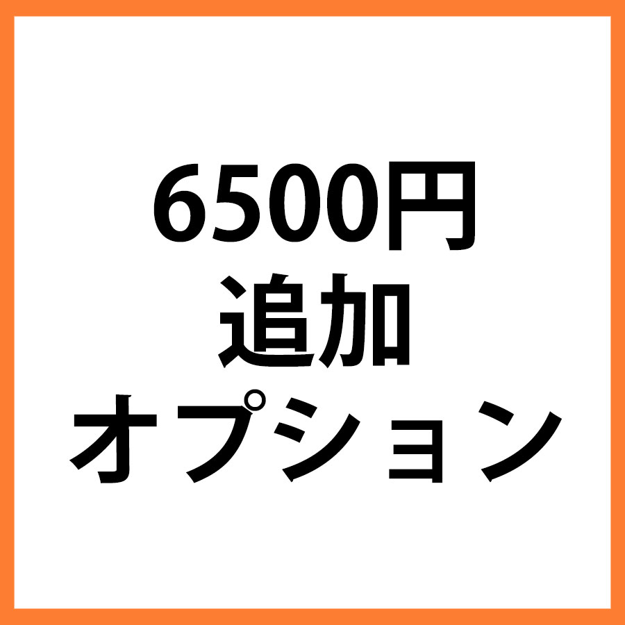 6500円追加オプション
