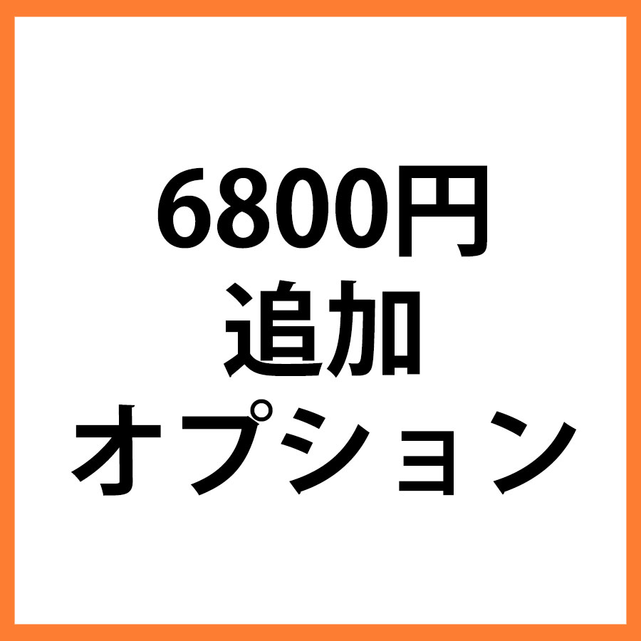 6800円追加オプション
