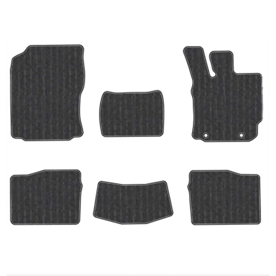 フロアマット　トヨタ　TOYOTA　パッソ　PASSO　10,30,700系　H16/2～R5/10　カーマット　抗菌　抗ウイルス　消臭　エコノミータイプ