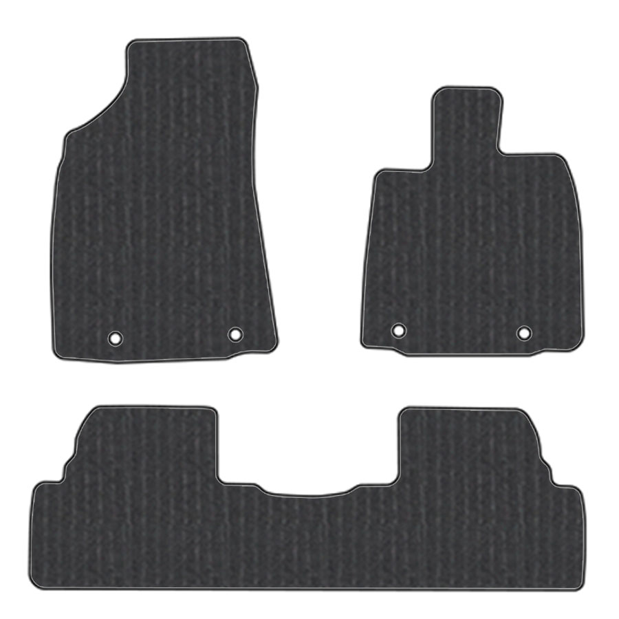 フロアマット　レクサス　ＬＥＸＵＳ　ＲＸ　10系　H21/1～H27/10　カーマット　抗菌　抗ウイルス　消臭　エコノミータイプ