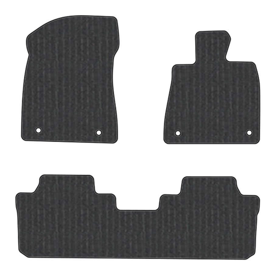 フロアマット　レクサス　ＬＥＸＵＳ　ＲＸ　20系　H27/10～R1/8　5人乗り　カーマット　抗菌　抗ウイルス　消臭　エコノミータイプ